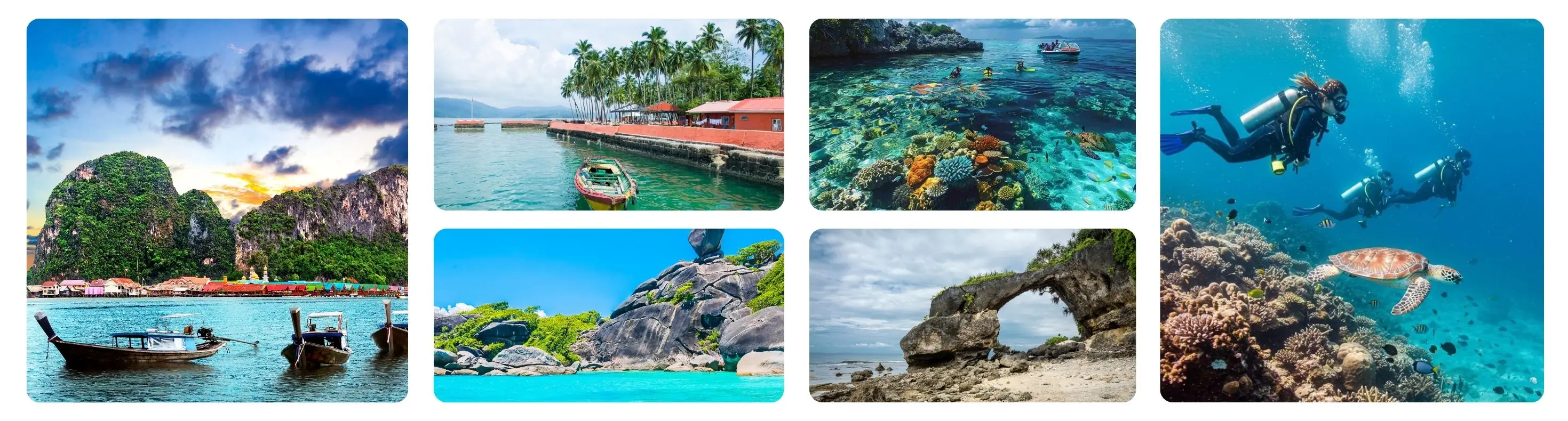 Andaman Island Tour Package