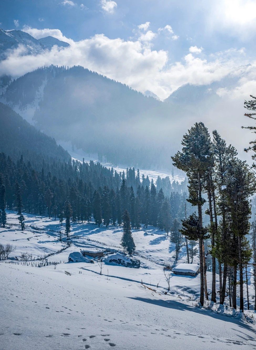 Kashmir Tour Packages