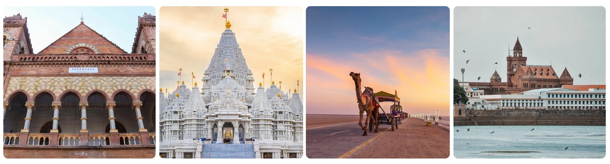 Gleeful Rann of Kutch Tour Package