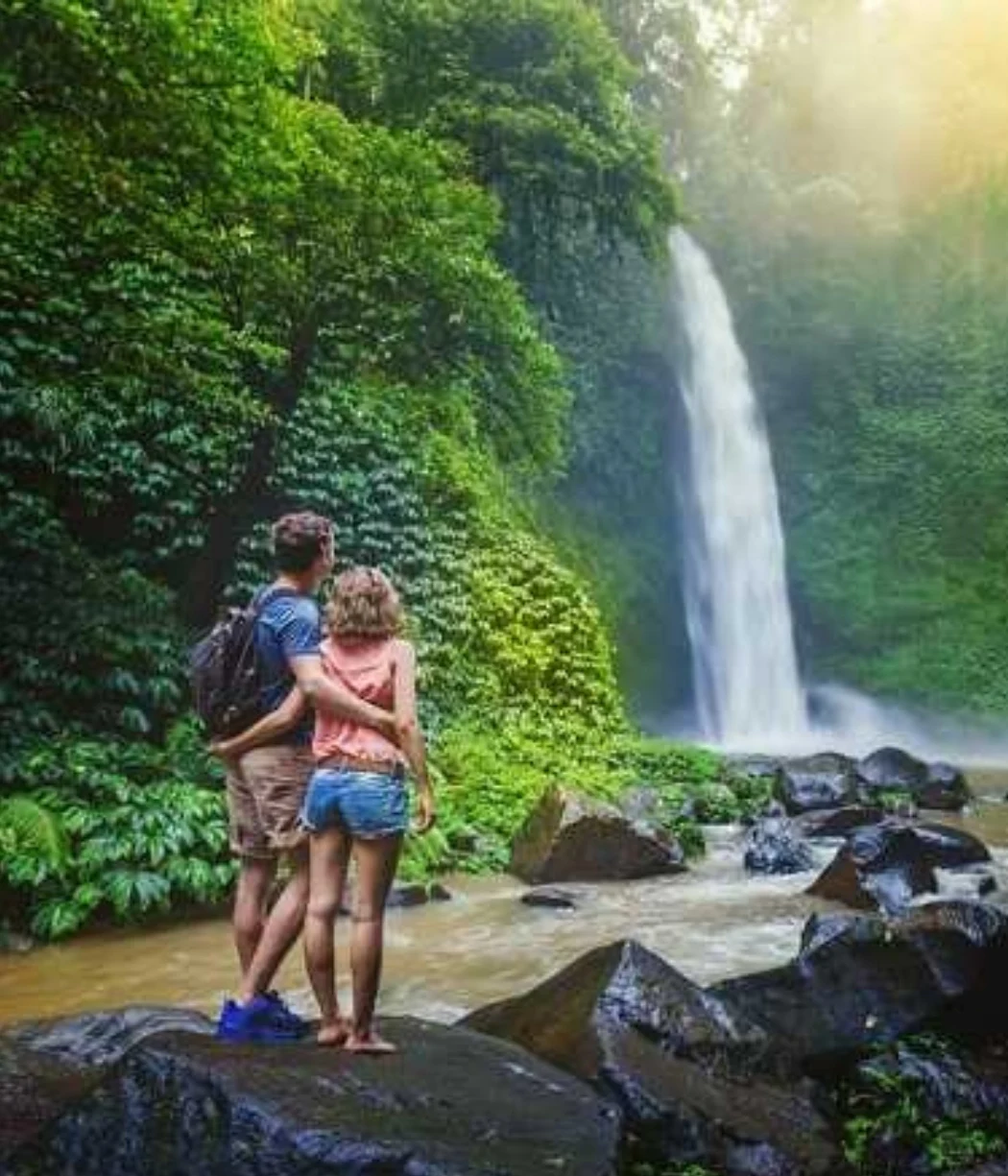 Kerala Wilderness Package