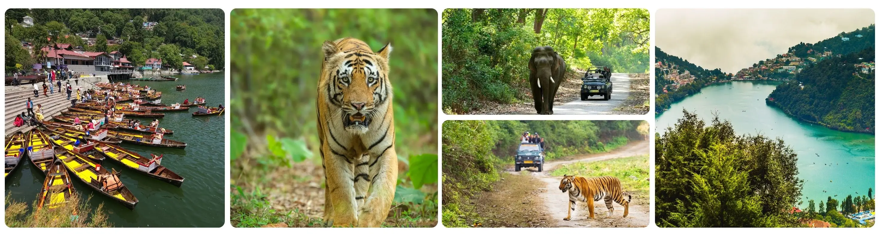 Nainital & Corbett Tour Package